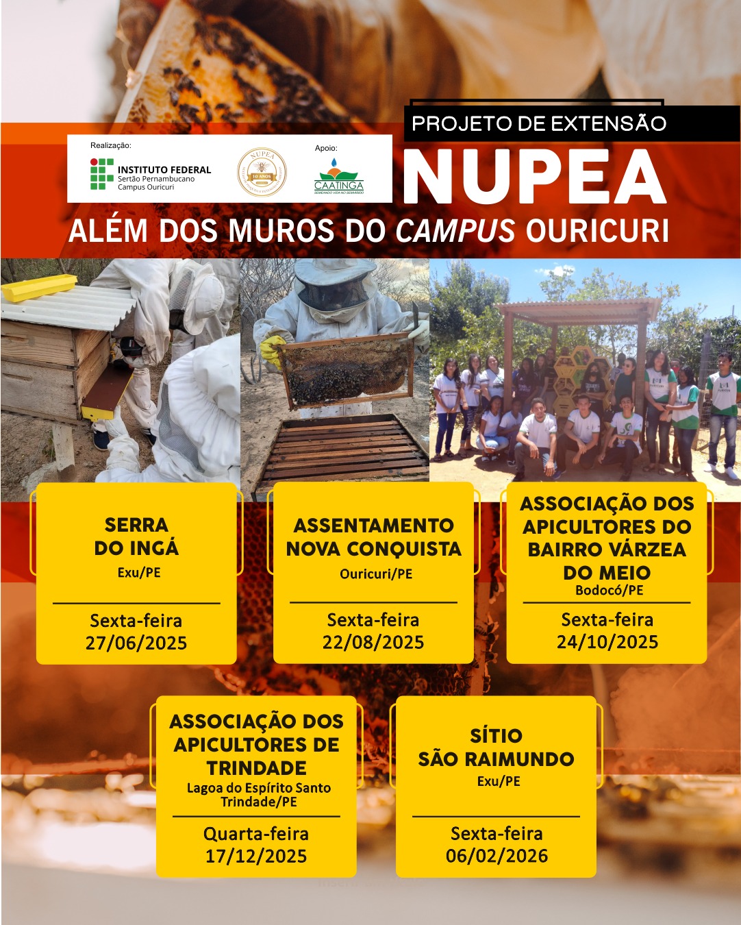Uma imagem promocional do "PROJETO DE EXTENSÃO NUPEA - ALÉM DOS MUROS DO CAMPUS OURICURI". No topo, o título do projeto em destaque. Abaixo, as logos dos realizadores e apoiadores: "INSTITUTO FEDERAL Sertão Pernambucano Campus Ouricuri" e "CAATINGA". A imagem central mostra três fotos em formato retangular: À esquerda, duas pessoas vestidas com macacões de apicultor manuseando uma colmeia. No centro, uma pessoa vestida de apicultor inspecionando uma caixa de abelhas em um campo. À direita, um grupo de jovens e adultos, alguns com camisas do NUPEA, posando ao ar livre em frente a uma estrutura de madeira, parecendo ser um local de trabalho ou estudo. Abaixo das fotos, há cinco caixas de texto retangulares, amarelas com bordas arredondadas, contendo informações sobre os próximos eventos do projeto: SERRA DO INGÁ Exu/PE Sexta-feira 27/06/2025 ASSENTAMENTO NOVA CONQUISTA Ouricuri/PE Sexta-feira 22/08/2025 ASSOCIAÇÃO DOS APICULTORES DO BAIRRO VÁRZEA DO MEIO Bodocó/PE Sexta-feira 24/10/2025 ASSOCIAÇÃO DOS APICULTORES DE TRINDADE Lagoa do Espírito Santo Trindade/PE Quarta-feira 17/12/2025 SÍTIO SÃO RAIMUNDO Exu/PE Sexta-feira 06/02/2026 O layout geral é limpo e informativo, com uso de cores vibrantes (verde e amarelo) e fotos que ilustram as atividades do projeto.