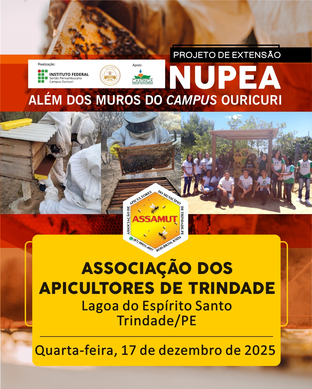 Este &eacute; um cartaz de divulga&ccedil;&atilde;o para um evento do Projeto de Extens&atilde;o NUPEA (N&uacute;cleo de Pesquisa em Estudos Ambientais), intitulado "Al&eacute;m dos Muros do Campus Ouricuri". Informa&ccedil;&otilde;es do Evento/Organiza&ccedil;&atilde;o: Realiza&ccedil;&atilde;o: Instituto Federal do Sert&atilde;o Pernambucano, Campus Ouricuri. Apoio: NUPEA e CAATINGA. Tema/P&uacute;blico-alvo: Associa&ccedil;&atilde;o dos Apicultores de Trindade (ASSAMUT). Local: Lagoa do Esp&iacute;rito Santo, Trindade/PE. Data: Quarta-feira, 17 de dezembro de 2025. Elementos Visuais: O cartaz cont&eacute;m v&aacute;rias fotos que ilustram as atividades do projeto de apicultura: Uma foto superior foca em uma colmeia com abelhas ativas. Tr&ecirc;s fotos centrais mostram: Um apicultor trabalhando em uma colmeia. Um apicultor inspecionando um quadro de mel. Um grupo grande de pessoas (apicultores e membros do projeto) reunidas em uma &aacute;rea externa, sob uma estrutura de madeira. A logo circular da ASSAMUT (Associa&ccedil;&atilde;o dos Apicultores do Munic&iacute;pio de Trindade) est&aacute; sobreposta &agrave;s fotos centrais. O cartaz utiliza uma paleta de cores com marrom, laranja-avermelhado (tijolo), amarelo vivo e branco para o texto.