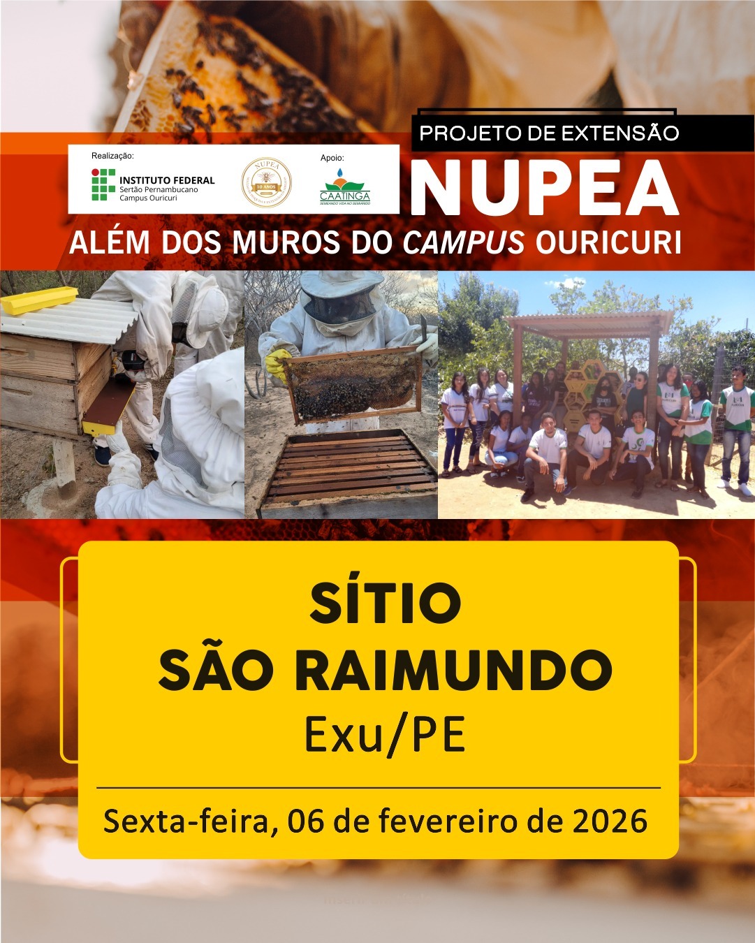 Cabe&ccedil;alho e Identidade Visual: No topo, &agrave; esquerda, est&atilde;o os logotipos do IFSert&atilde;oPE (Campus Ouricuri), do NUPEA (10 anos) e o apoio da ONG Caatinga. &Agrave; direita, o t&iacute;tulo em destaque: "PROJETO DE EXTENS&Atilde;O NUPEA &ndash; AL&Eacute;M DOS MUROS DO CAMPUS OURICURI". Composi&ccedil;&atilde;o Fotogr&aacute;fica: O centro do banner apresenta tr&ecirc;s fotos que ilustram as atividades do projeto: &Agrave; esquerda, apicultores vestidos com roupas de prote&ccedil;&atilde;o (macac&otilde;es brancos) manejando uma colmeia de madeira. Ao centro, um apicultor em plano m&eacute;dio segurando um quadro de favo repleto de mel e abelhas. &Agrave; direita, um grupo de jovens estudantes e instrutores posando para foto em frente a um melipon&aacute;rio (abrigo para abelhas sem ferr&atilde;o) com caixas em formato hexagonal. Informa&ccedil;&otilde;es do Evento: Sobre um fundo esfuma&ccedil;ado em tons de laranja e marrom, destaca-se um grande ret&acirc;ngulo amarelo central com bordas arredondadas contendo o local do evento em letras pretas: S&Iacute;TIO S&Atilde;O RAIMUNDO Exu/PE Na base do ret&acirc;ngulo amarelo, a data: Sexta-feira, 06 de fevereiro de 2026